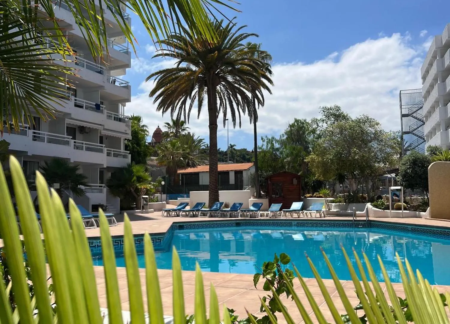 Appart hôtel Tenerife Sea View 216 Playa Feñabe